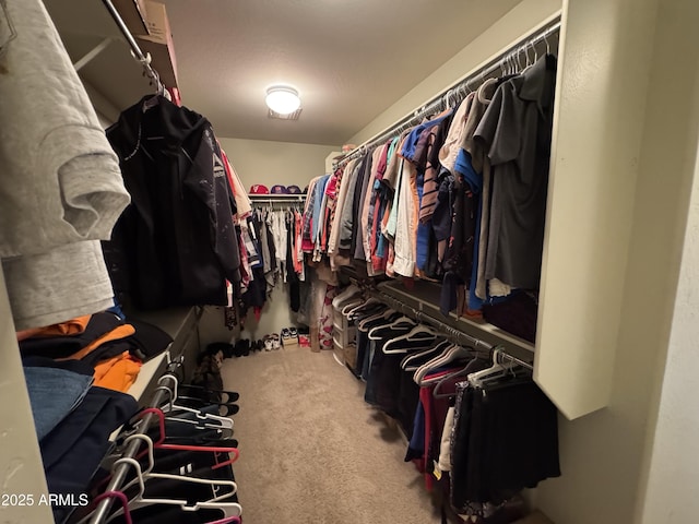 walk in closet featuring light colored carpet