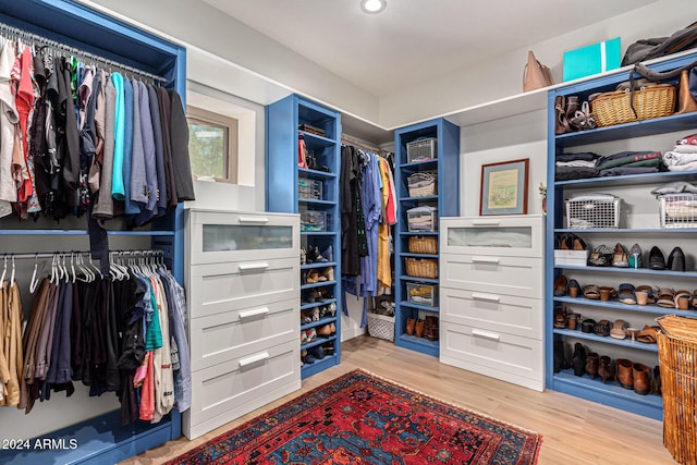 12423 N 64th St, Scottsdale, AZ 85254 - spacious closet featuring light wood finished floors