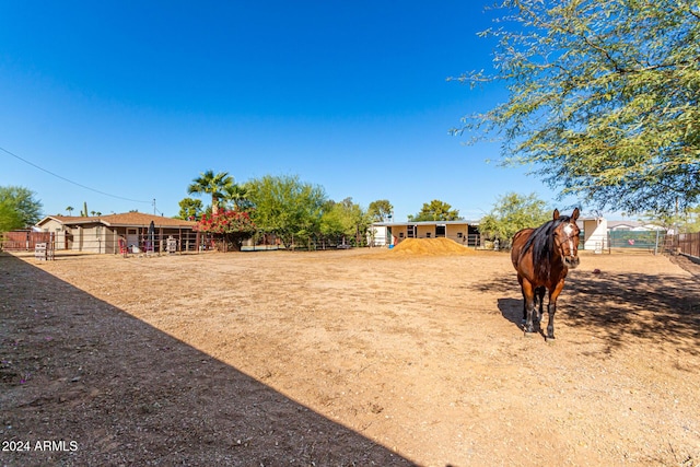 12423 N 64th St, Scottsdale, AZ 85254 - view of yard
