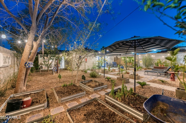 view of yard featuring a patio