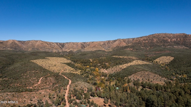 view of mountain feature