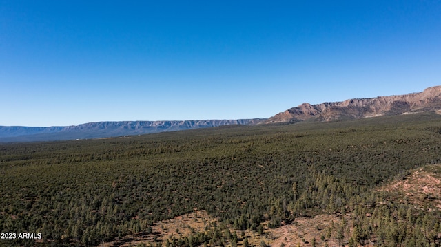 view of mountain feature