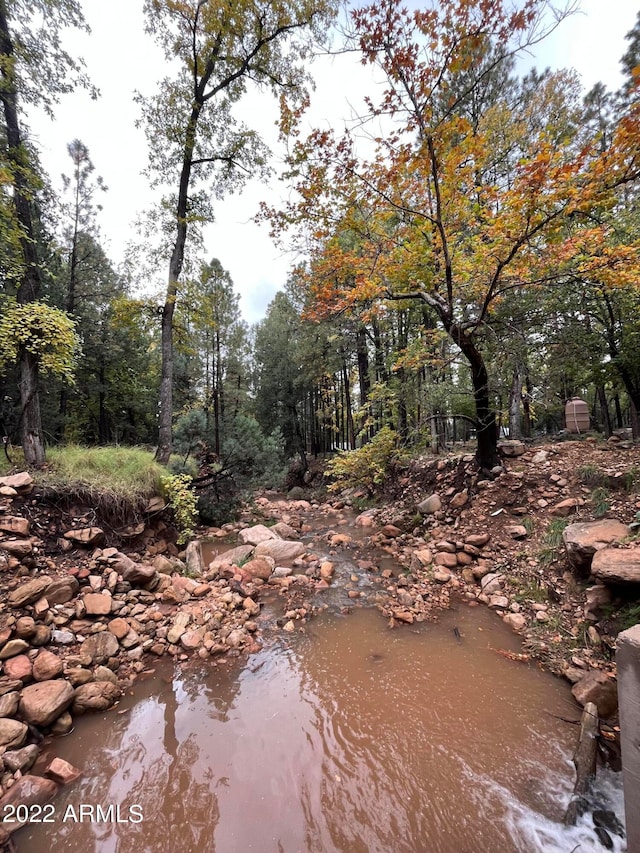 view of nature