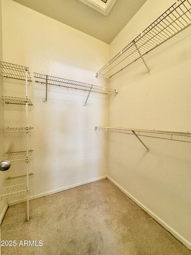 spacious closet with carpet floors
