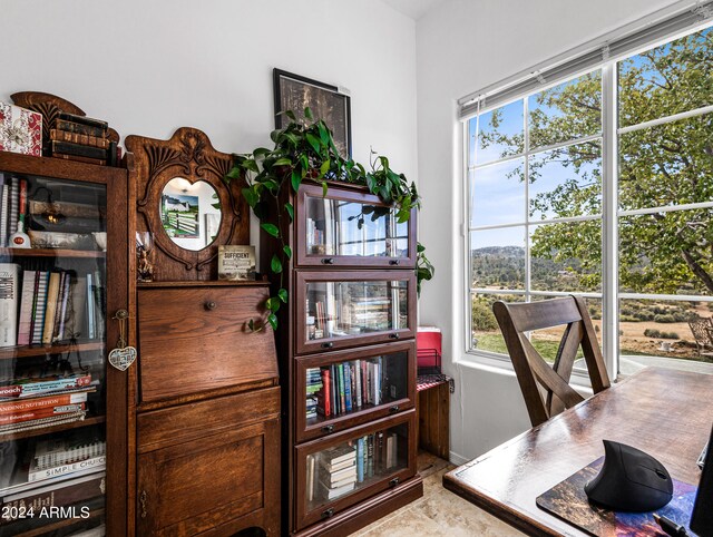 office area with plenty of natural light