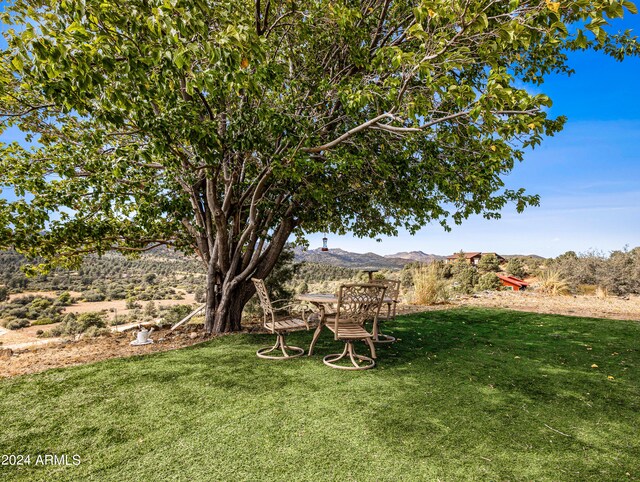 view of yard with a mountain view