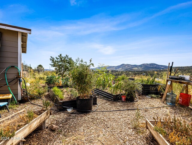 view of yard featuring a mountain view