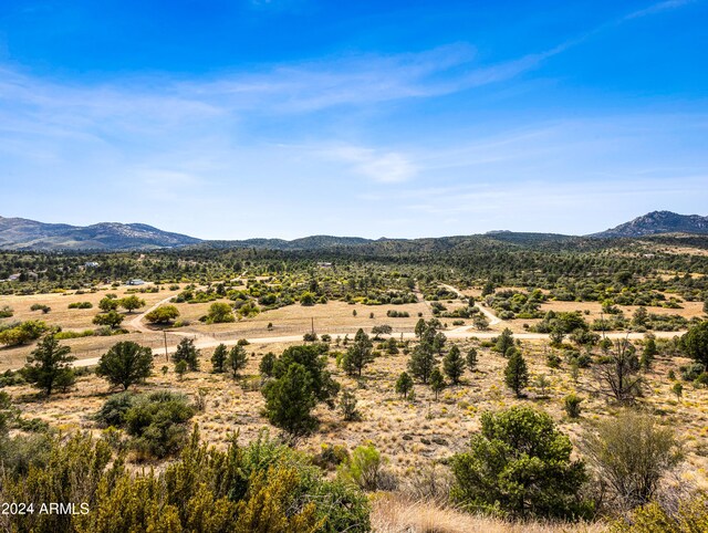 view of mountain feature