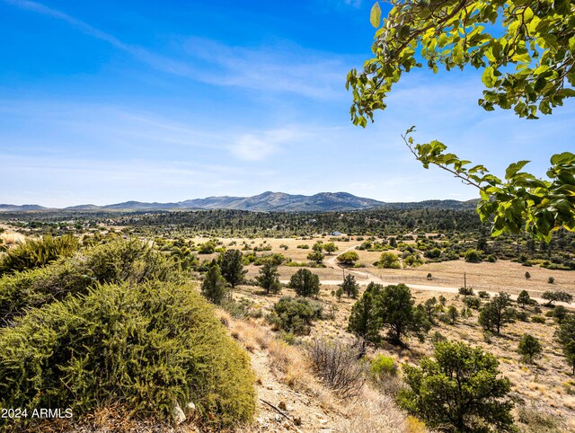 view of mountain feature