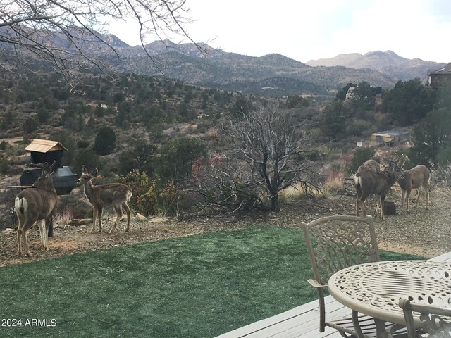 view of yard featuring a mountain view