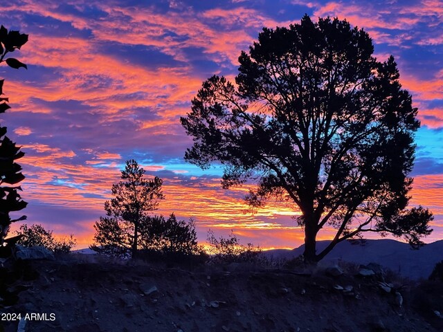 nature at dusk with a mountain view