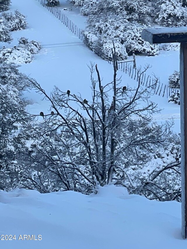 view of yard covered in snow