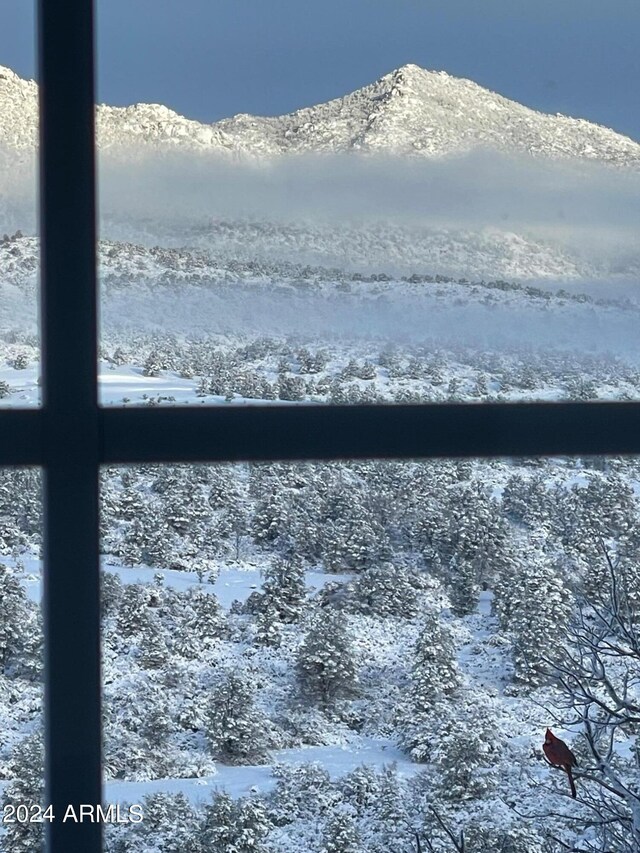 water view featuring a mountain view