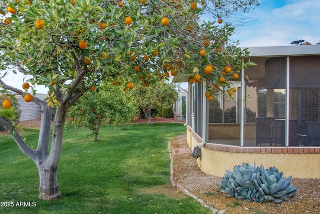 view of yard with a sunroom