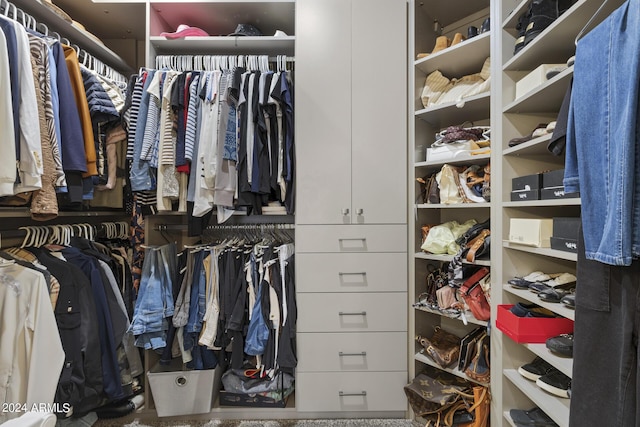 view of walk in closet