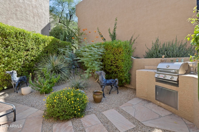 view of patio featuring grilling area and exterior kitchen