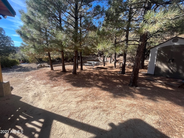 view of yard featuring a storage unit