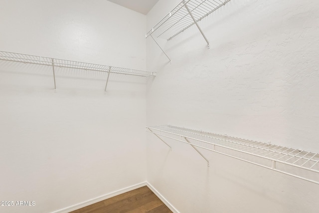 spacious closet with wood-type flooring