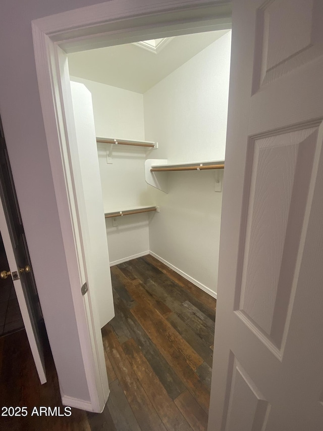 3559 N 143rd Ave, Goodyear, AZ 85395 - spacious closet with dark wood finished floors