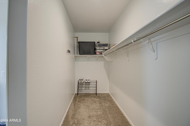 spacious closet featuring light colored carpet