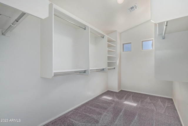 spacious closet featuring visible vents and carpet floors