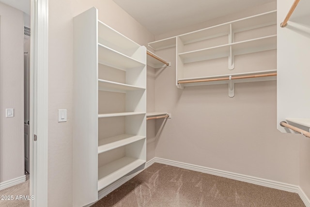 4724 S Anitole Way, Mesa, AZ 85212 - walk in closet with carpet flooring