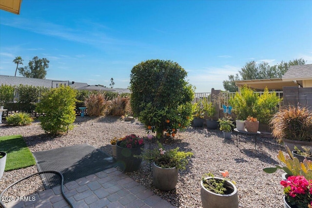 view of yard with a patio area