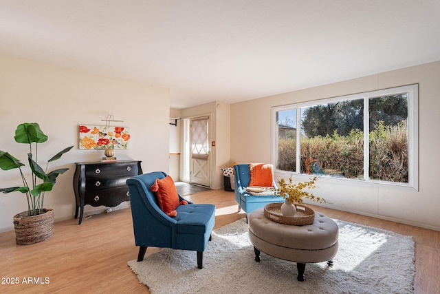 sitting room with light hardwood / wood-style flooring