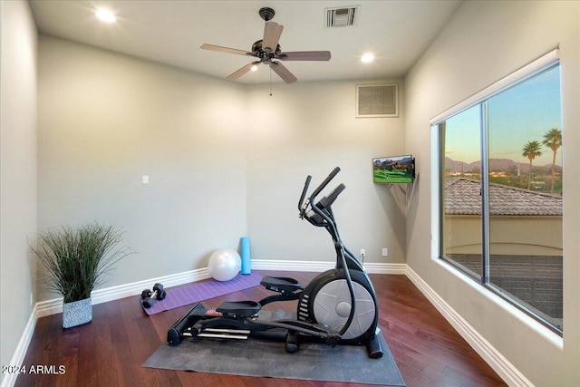 exercise area featuring ceiling fan and dark wood-type flooring