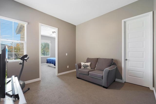 sitting room featuring light carpet