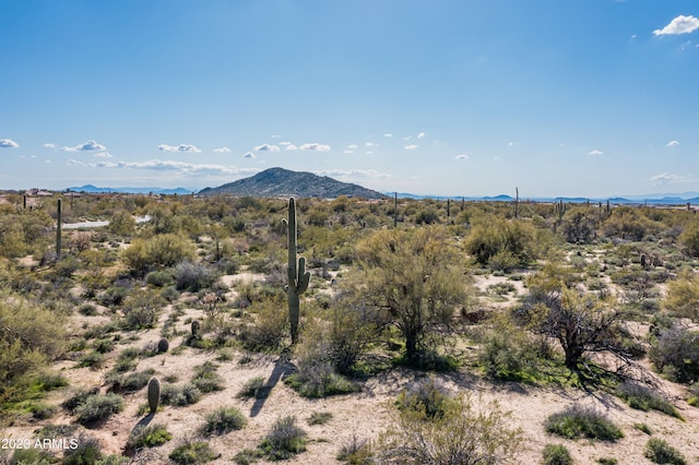 view of mountain feature