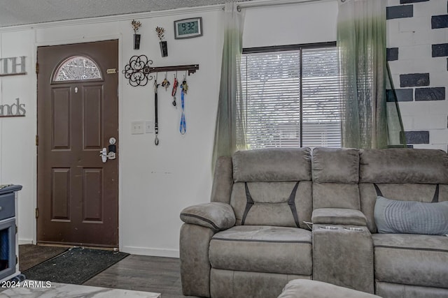 foyer with a healthy amount of sunlight, dark wood-type flooring, and a textured ceiling