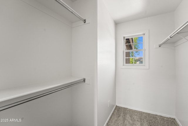 2337 E Fraktur Rd, Phoenix, AZ 85040 - spacious closet with carpet