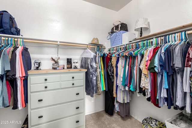 spacious closet with light colored carpet