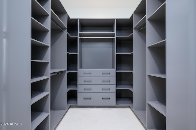 view of spacious closet