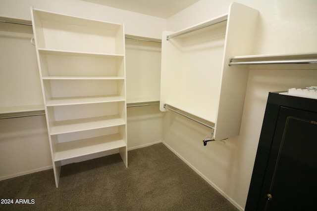 spacious closet with carpet