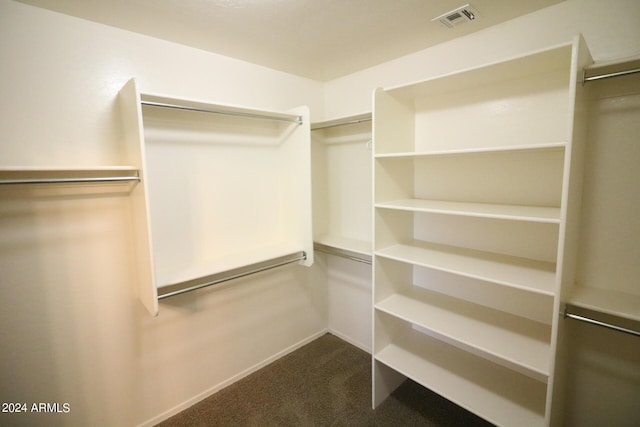 spacious closet with carpet