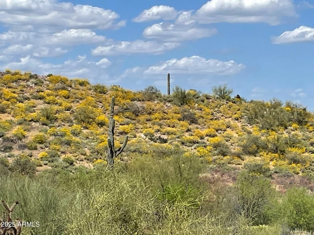 view of landscape