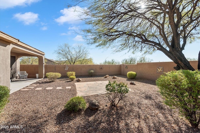 view of yard with a patio area and a fenced backyard