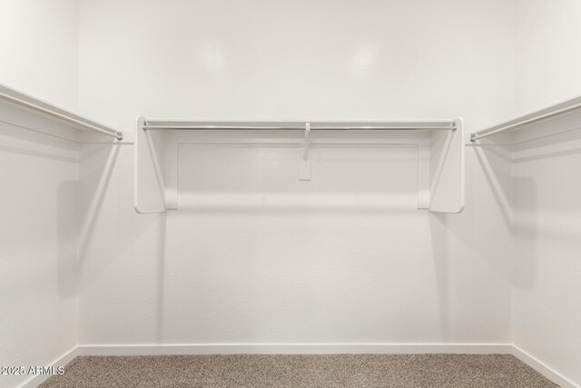 14355 W Valentine St, Surprise, AZ 85379 - walk in closet featuring carpet flooring