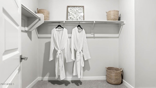 spacious closet with carpet