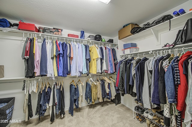5621 W Chuck Box Rd, Laveen, AZ 85339 - spacious closet with carpet floors