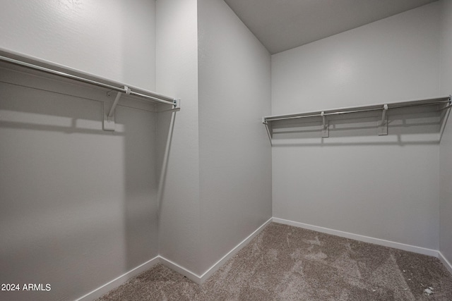 walk in closet with carpet flooring