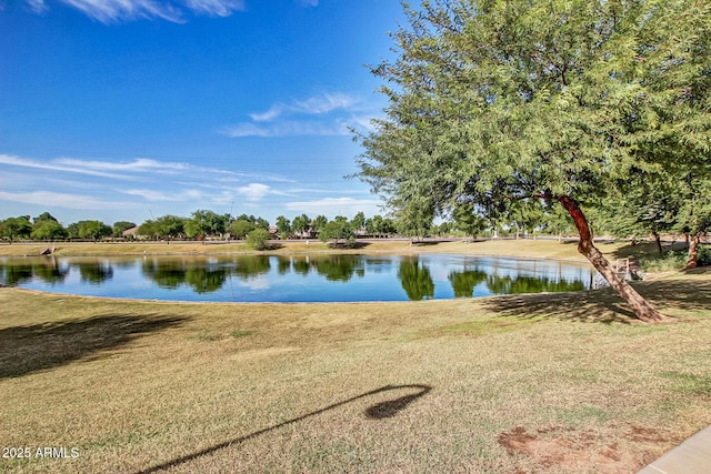 1179 E Regent Dr, Gilbert, AZ 85298 - water view