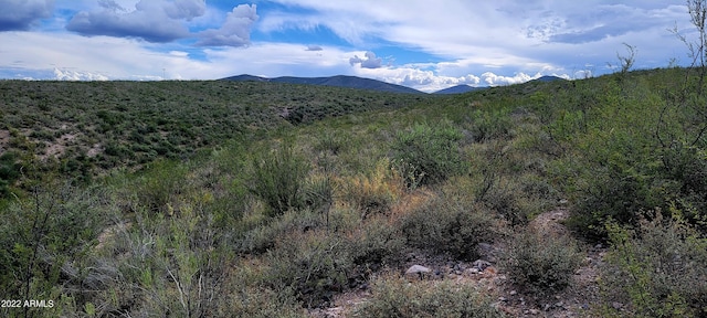 LOT1 N Pima Pl Unit 1, Tombstone AZ, 85638 land for sale