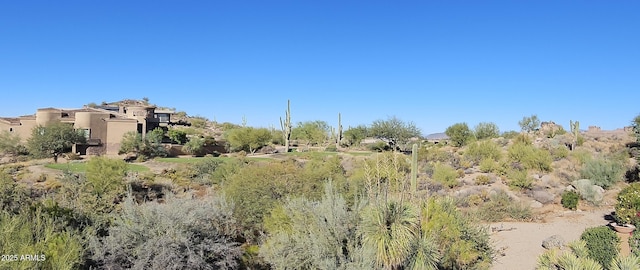 view of local wilderness