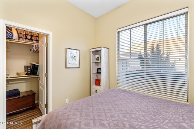 bedroom with wood-type flooring, a spacious closet, and a closet