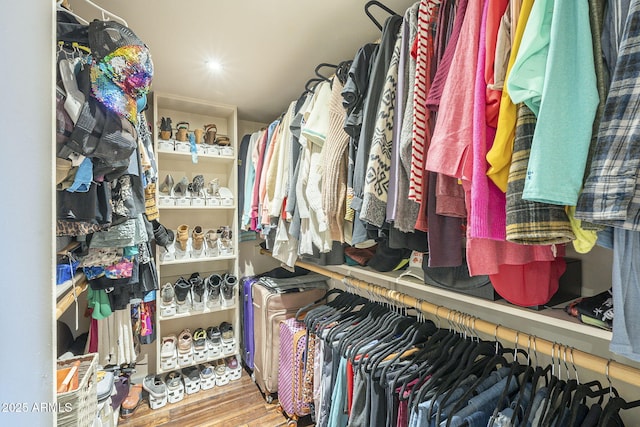 walk in closet featuring hardwood / wood-style flooring