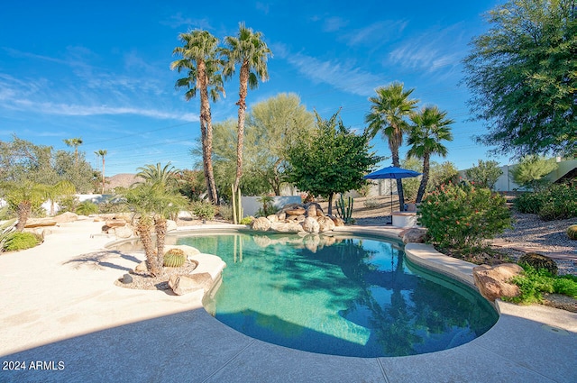 view of swimming pool