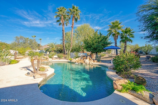 view of swimming pool